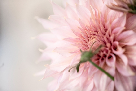 Book tid ved kosmetolog i Søndersø, nær Odense, Bogense og Otterup
